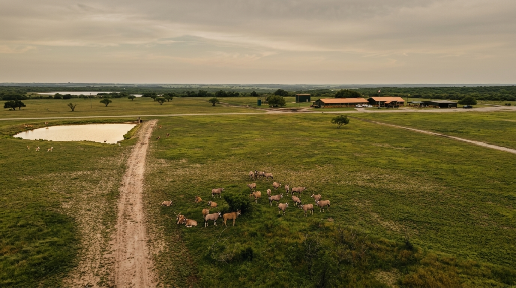 Wildlife Partners land offering investors access to infrastructure for future wealth and sustainability